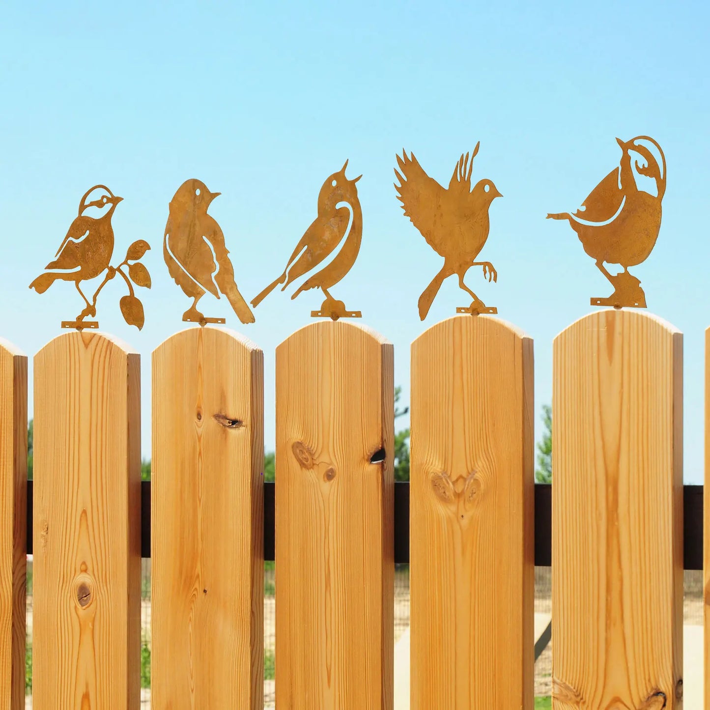 Roestlook Vogel Tuinstekers