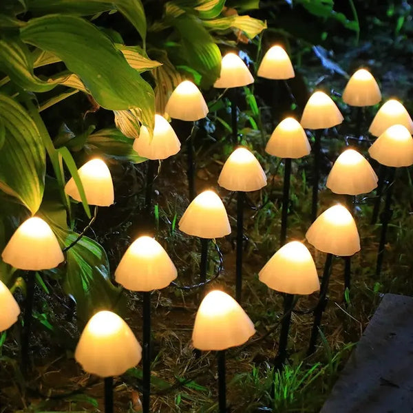 Zonnige Paddenstoellampen Tuin
