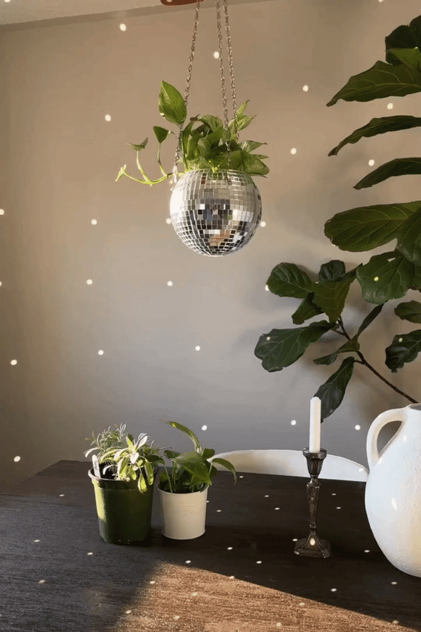 DiscoPlantenbol™