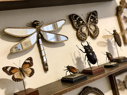 Gouden Libelle Wandspiegel