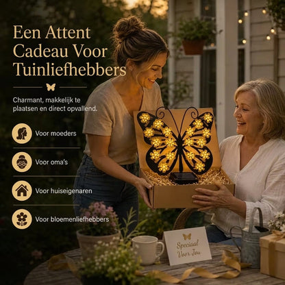 Betoverend Vlinderlicht