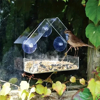 BirdView™ – Zie Vogels van Héél Dichtbij