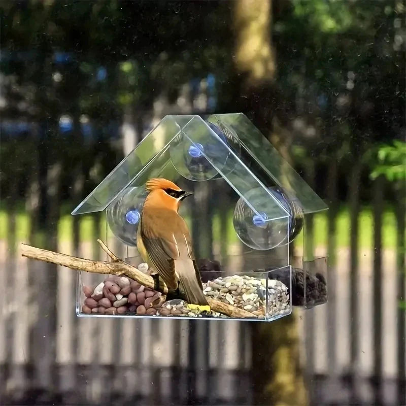 BirdView™ – Zie Vogels van Héél Dichtbij