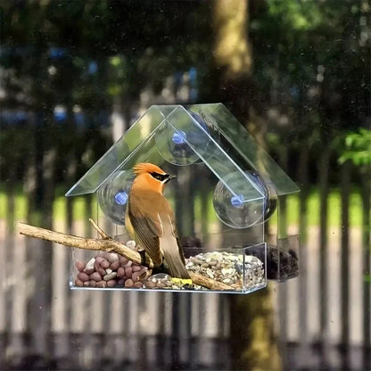 BirdView™ – Zie Vogels van Héél Dichtbij