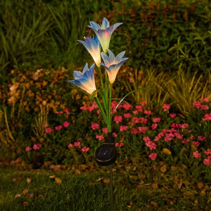 De Lichtgevende Lelies