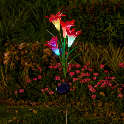De Lichtgevende Lelies