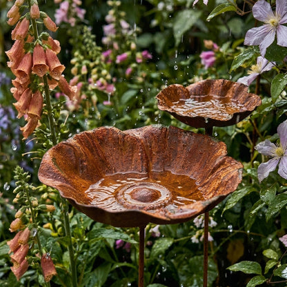De Rustieke Lotusbladeren