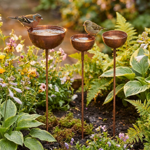 De Vintage Vogelbadenset