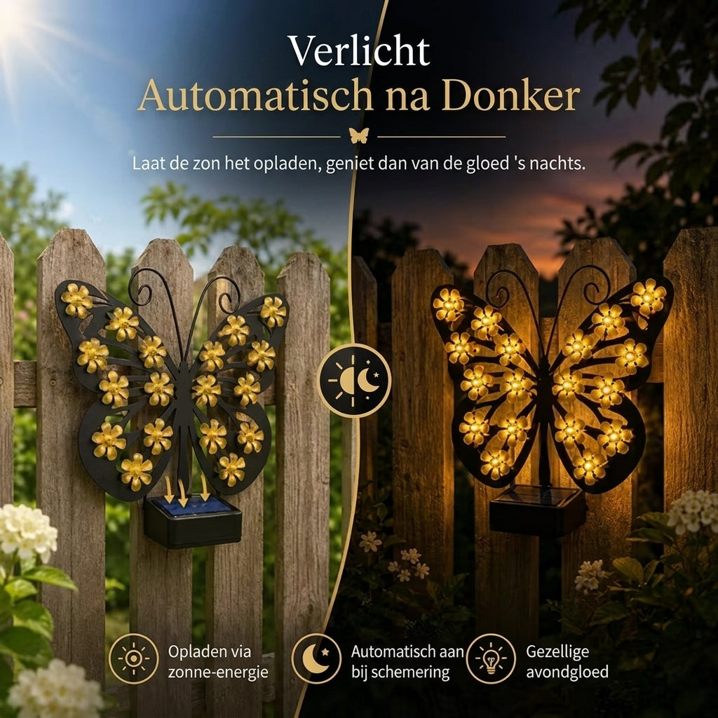 Betoverend Vlinderlicht