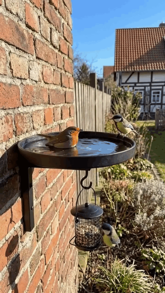 Het Vogelstation