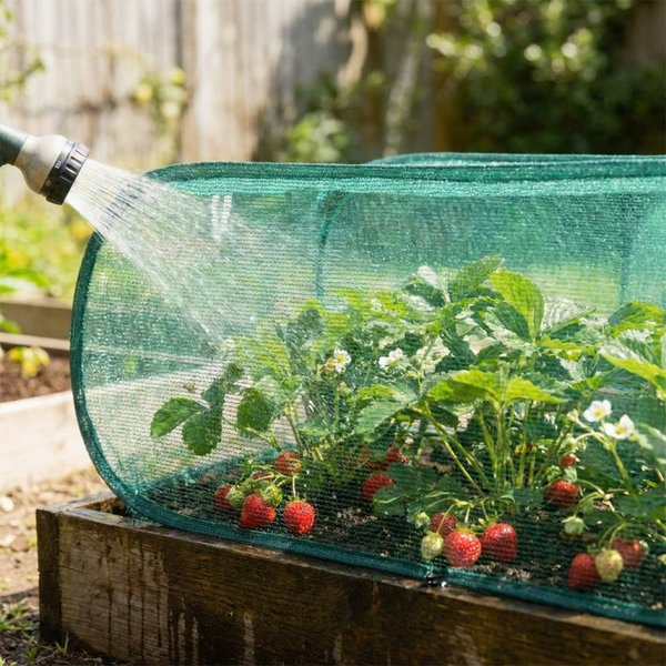 De Moestuinkooi