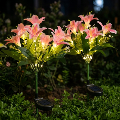 De Lichtgevende Lelies